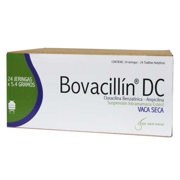 Bovacillín