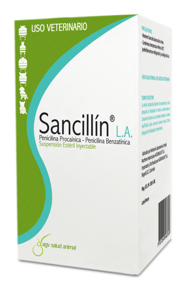 Sancillín L.A.